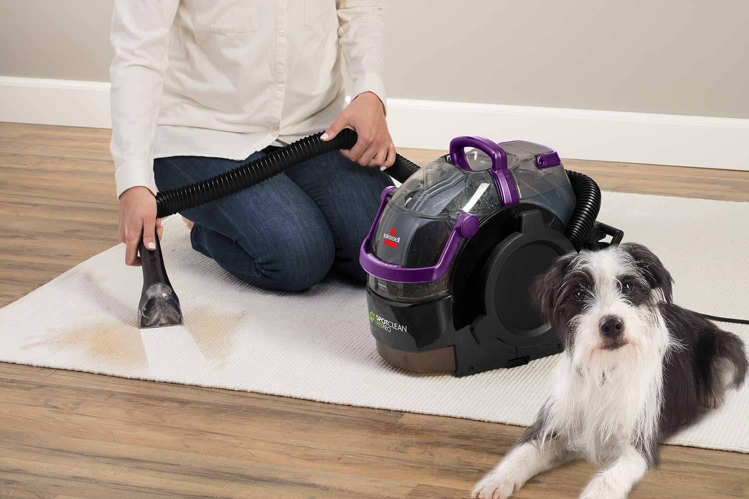 Tackle tough pet stains with ease