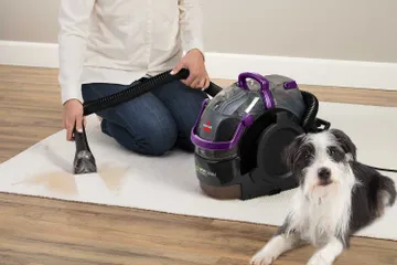 Tackle tough pet stains with ease