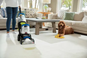 Rigorously tested for real pet messes