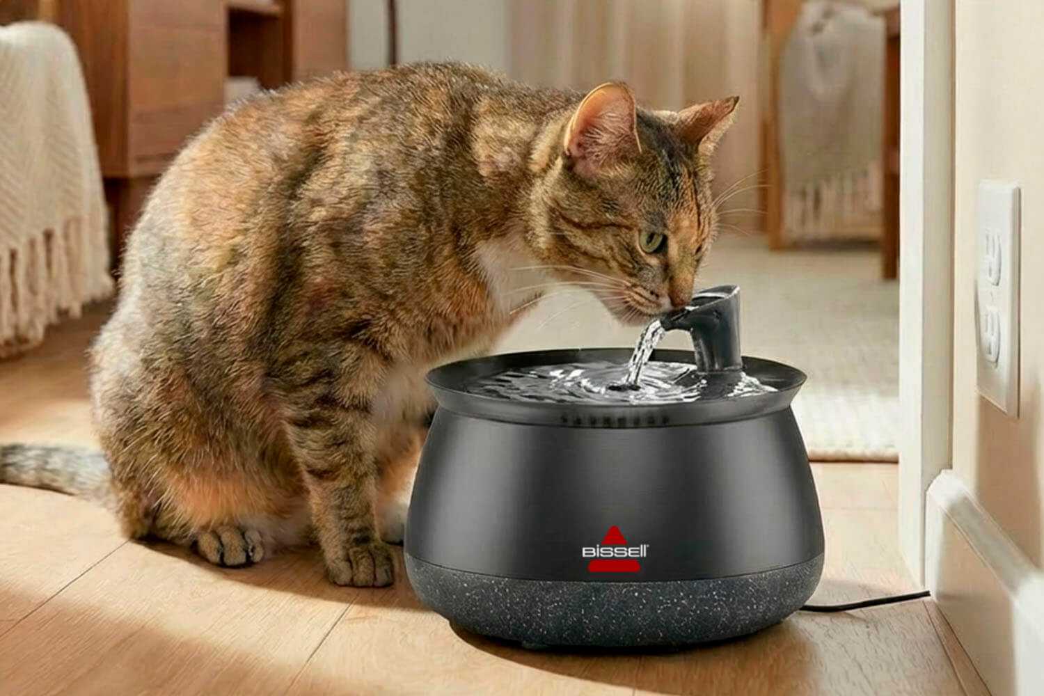 HydrateWell Fountain