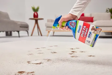 Spraying Woolite Instaclean on muddy paw prints on carpet