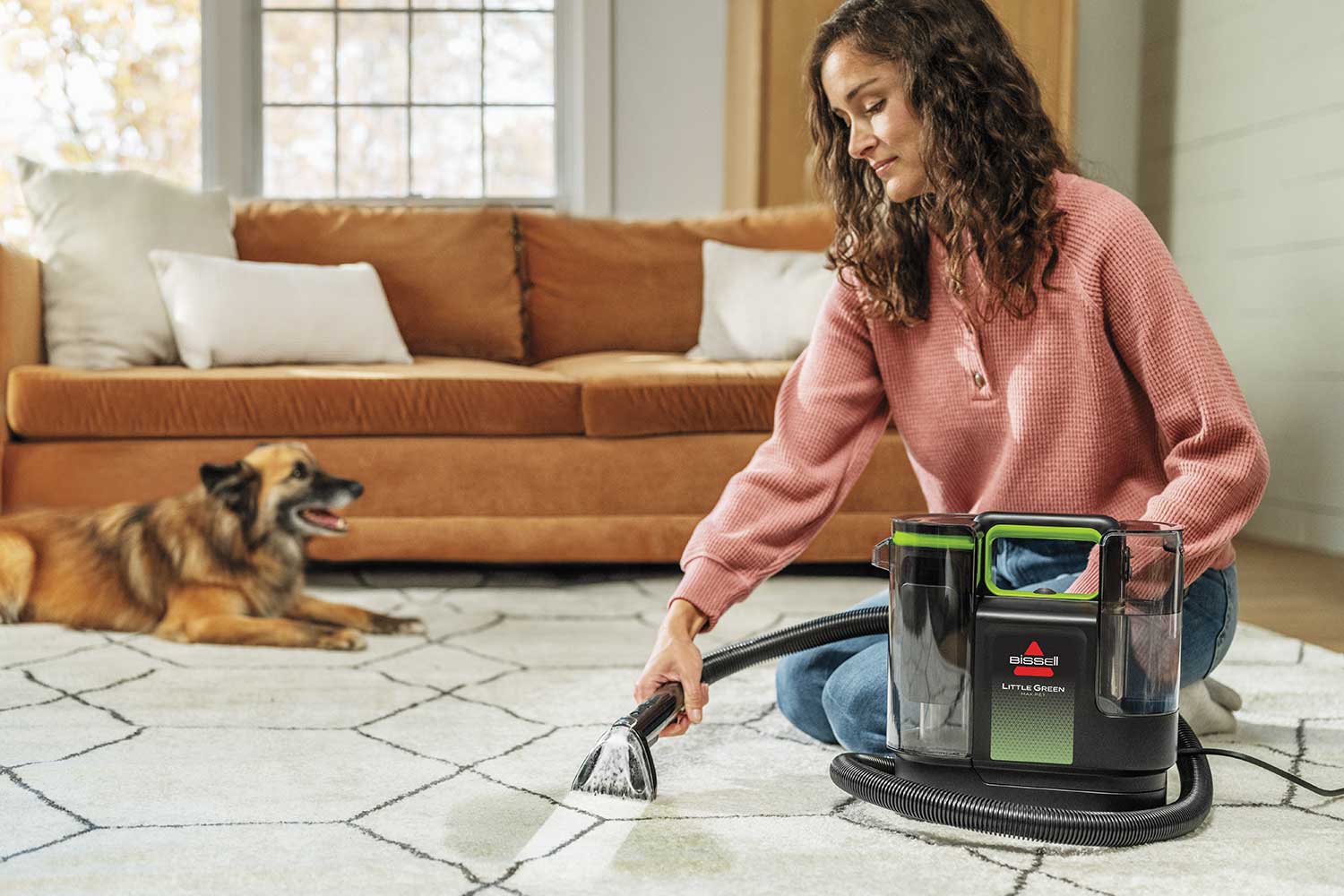 Dried Out Rug How to Get Dog Pee Out of a Rug – and Eliminate the Odor for Good ...