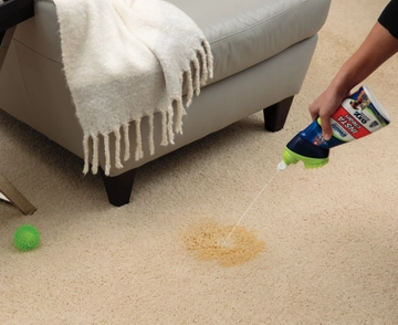 Woolite INSTAclean Stain Remover cleaning pet mess off carpet