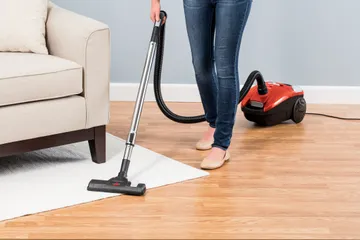 Zing Canister Vacuum Vacuuming area rug and hard flooring.