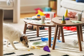 spilled cake on carpet