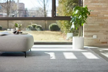 Living room with carpet.