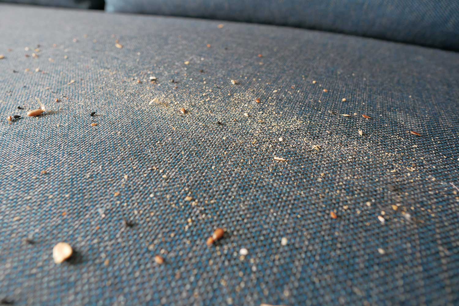 fabric_car_seat_1500x1000.jpg