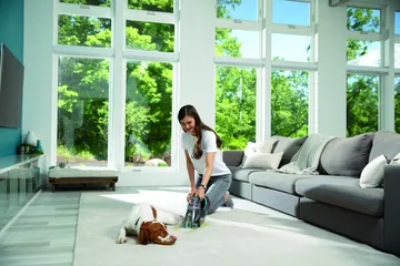 Pet Stain Eraser PowerBrush cleaning up pet mess off of carpet.