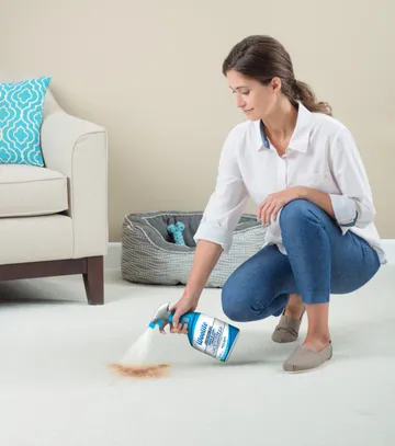Woolite® Advanced Stain & Odor Remover + Sanitize being used to clean pet stain off carpet.