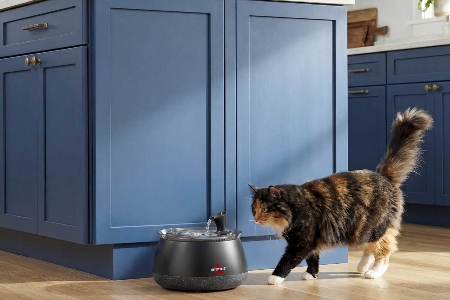 HydrateWell Cat Fountain