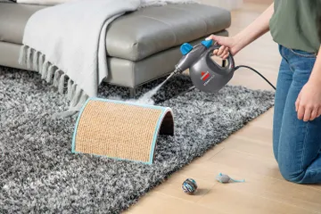 Steam Shot steaming cat toys