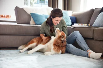 Woman petting dog while sitting on carpet.