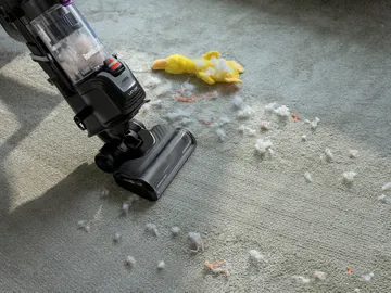 Vacuuming debris from carpet