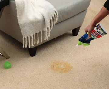 Woolite INSTAclean Stain Remover cleaning pet mess off carpet