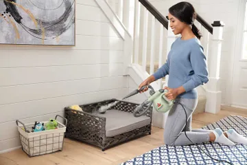 steam pet bed