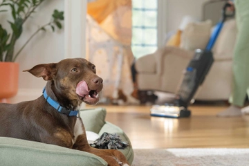 Rigorously tested for real pet messes