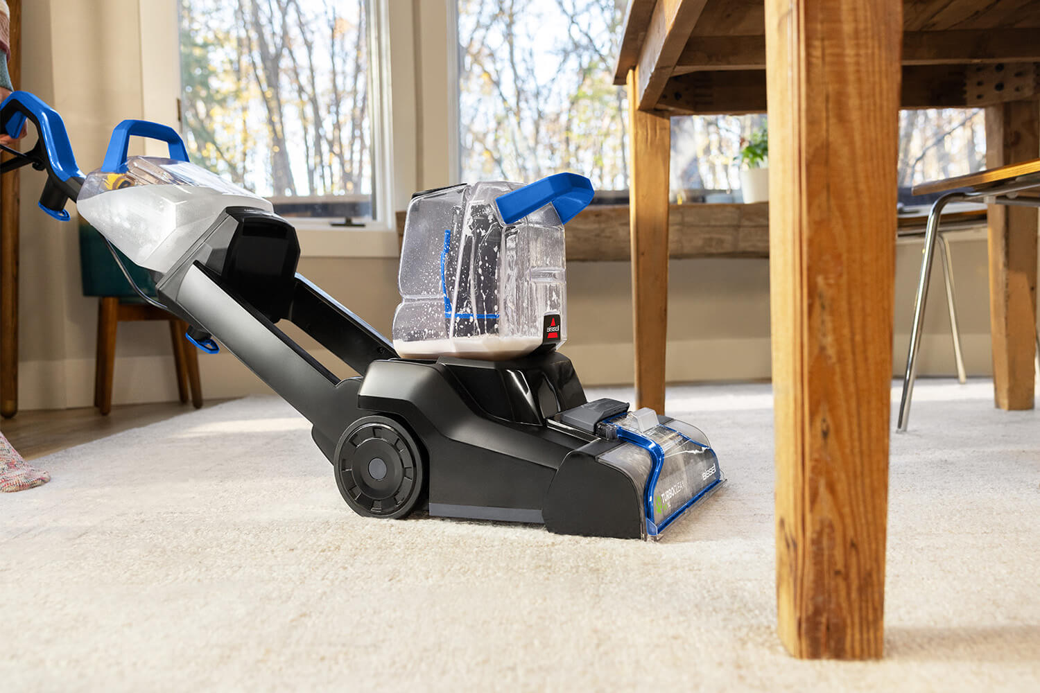 September_Photo-Research_Best_Carpet_Upholstery_Cleaners_2_Lifestyle_1500x1000.jpg