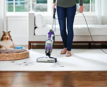 Using CrossWave Pet Pro Wet Dry Vac to refresh area rug with dog nearby in pet bed.