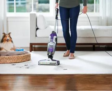 Using CrossWave Pet Pro Wet Dry Vac to refresh area rug with dog nearby in pet bed.