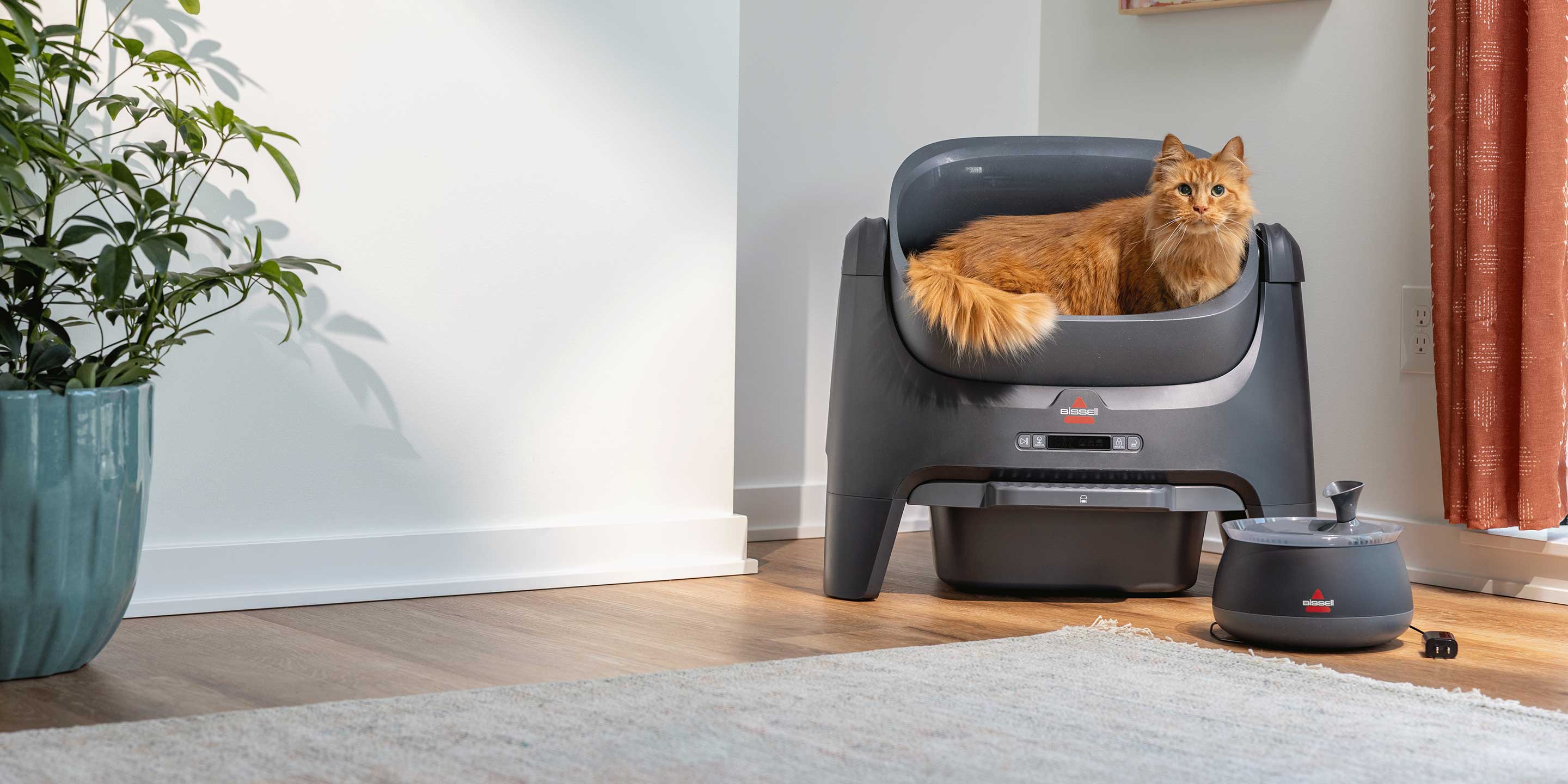 Pet_Supplies_Homepage_Banner_Desktop_2880x1440.jpg
