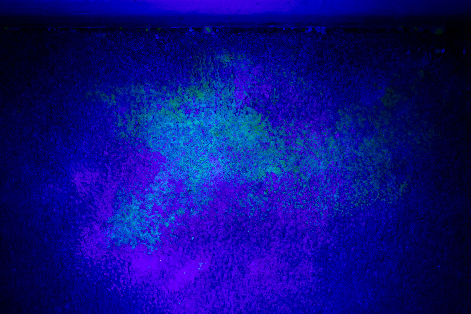 blacklight_1500x1000.jpg