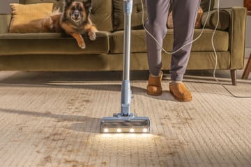 Find, lift and trap pet hair and dander