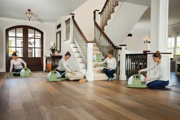 Using Little Green Portable Carpet Cleaner on several surfaces throughout the home.