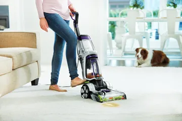 ProHeat 2X Pet Revolution using cleanshot pretreater to spray pet accident on carpet.