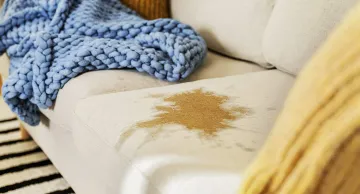How to Get Cat Urine Smell Out of Sofa: Proven Easy Solutions