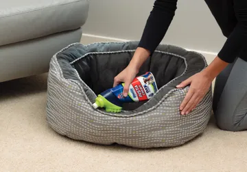Woolite INSTAclean Stain Remover cleaning pet bed