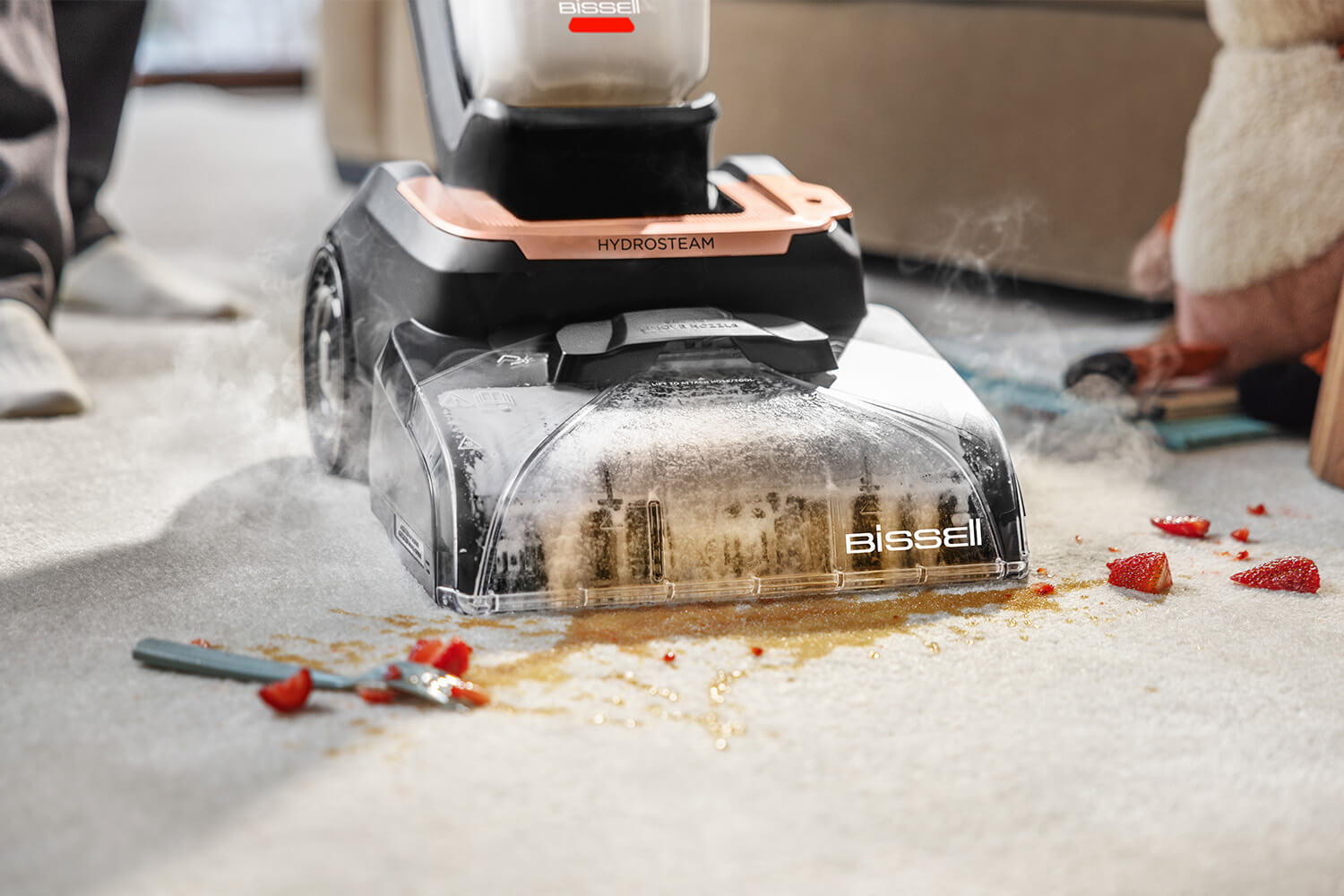 September_Photo-Research_Best_Carpet_Upholstery_Cleaners_5_Lifestyle_1500x1000.jpg