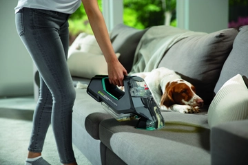 Pet Stain Eraser cleaning pet stain off couch.