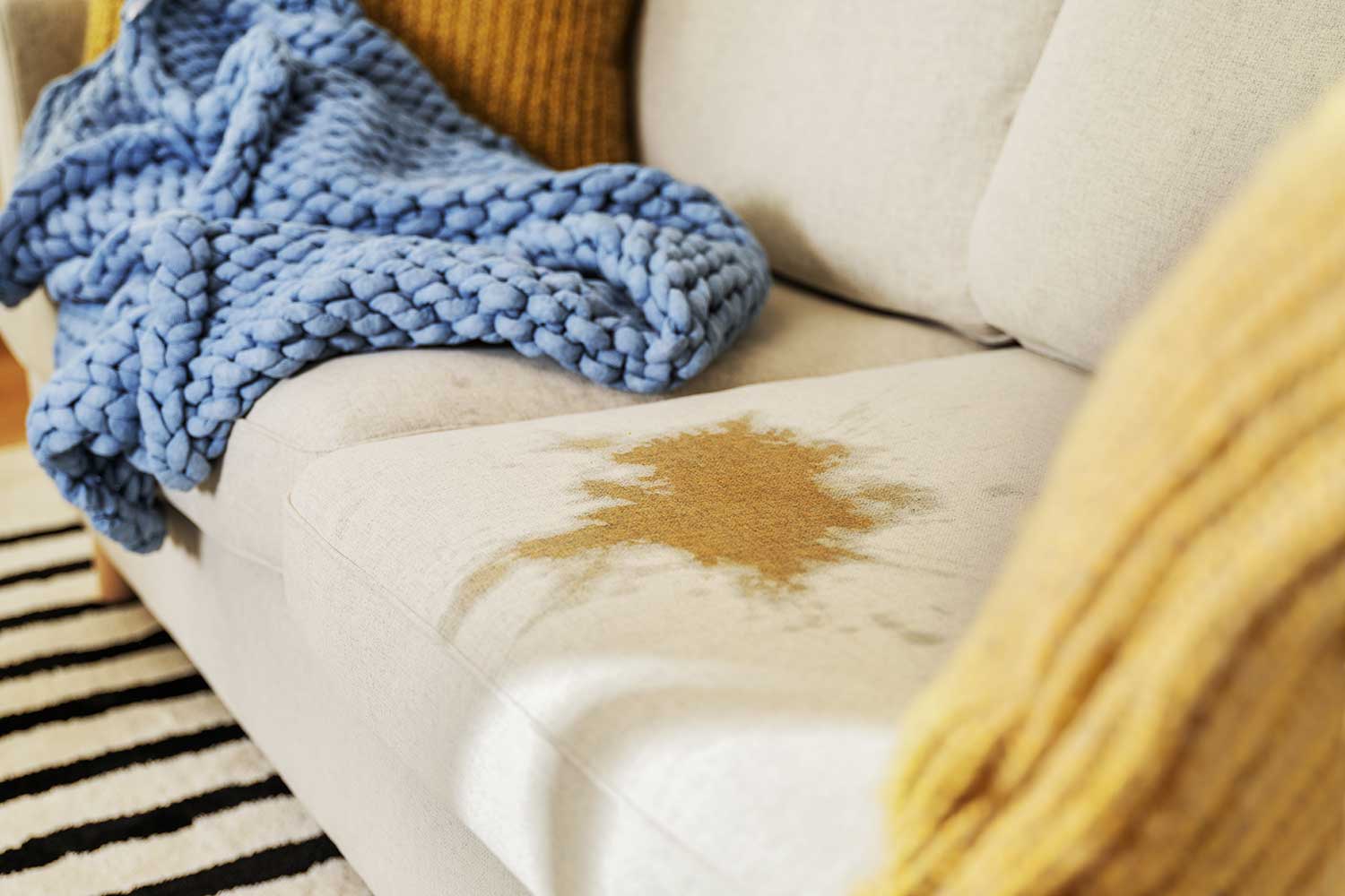 how_to_clean_Upholstery_blog_second_image_1500x1000.jpg