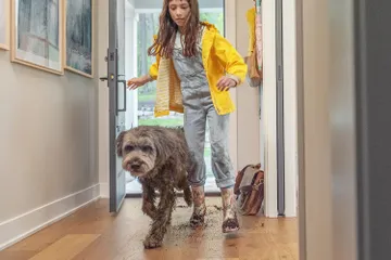 Child and dog running indoors with muddy feet and paws