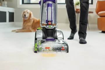 Using ProHeat 2X Revolution on pet accident with dog laying nearby.