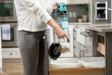 Empty Dirt Bin into trash