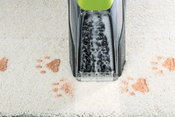 Using Pet Stain Eraser Portable Cleaner to clean paw prints from carpet.