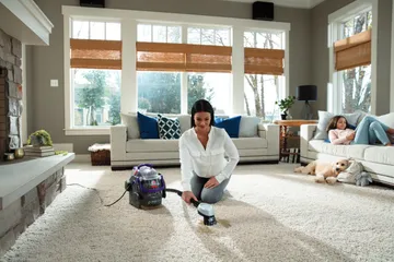 SpotClean Pet Pro Portable carpet cleaner deep cleaning pet stain on carpet