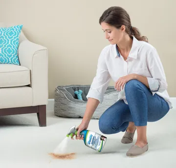Woolite Advanced Pet Stain & Odor Remover being sprayed onto carpet.