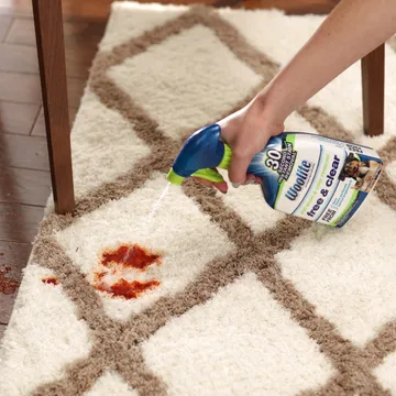 Woolite® Free & Clear Pet Stain & Odor Remover Pretreat being sprayed on spaghetti sauce stain on area rug.