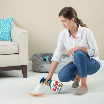 Woolite INSTAclean Pet Stain Remover being sprayed onto carpet to remove stain.