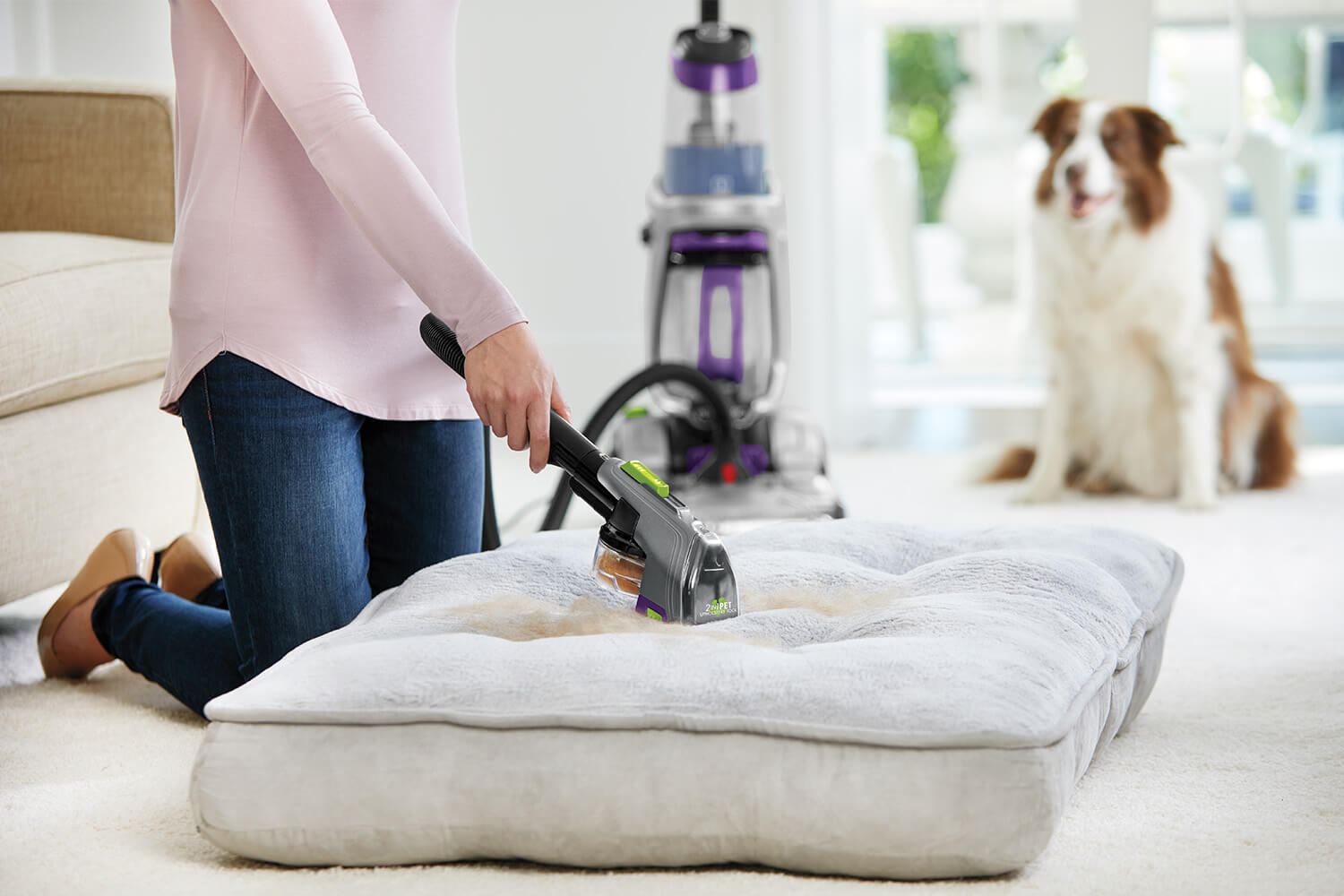 September_Photo-Research_Best_Carpet_Upholstery_Cleaners_7_Lifestyle_1500x1000.jpg