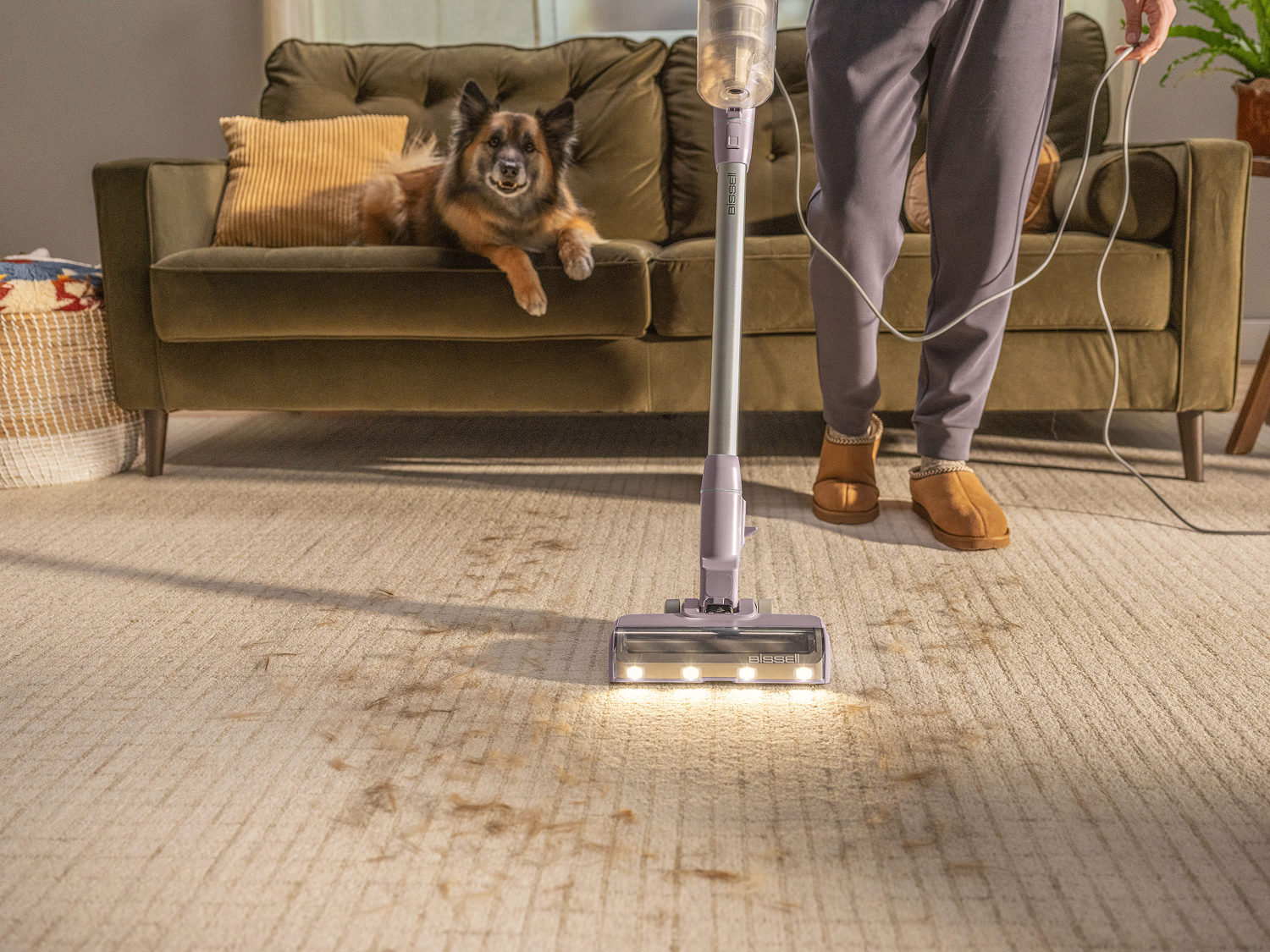 Lift and trap pet hair and dander