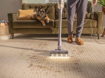 Lift and trap pet hair and dander