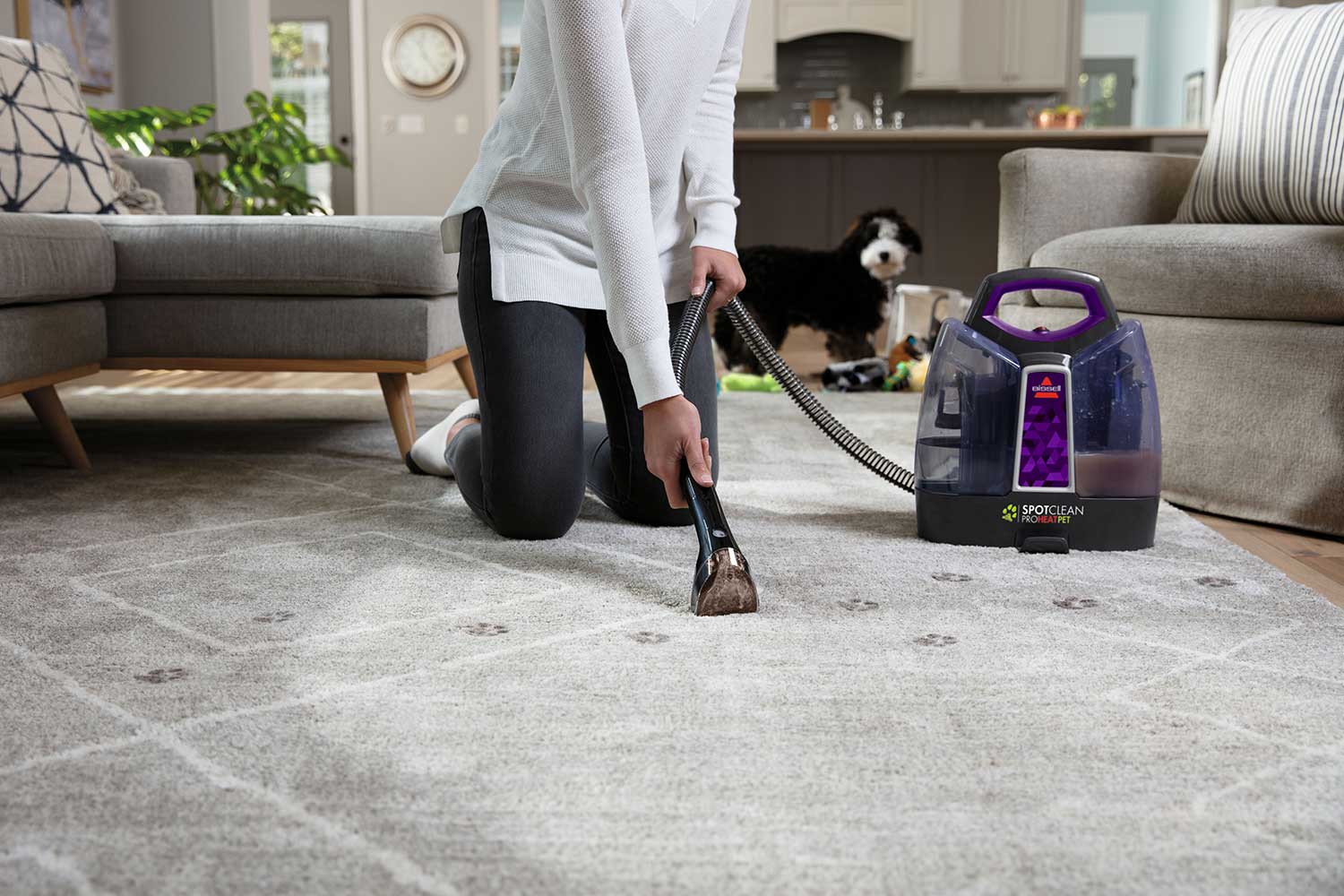 Little Green® ProHeat® Advanced Pet 2513W | BISSELL® Portable