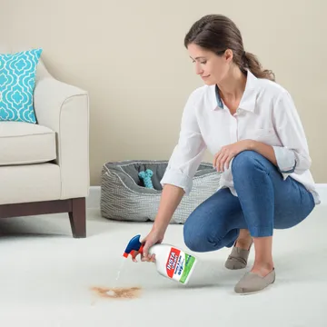Woman using INSTAclean Stain & Odor Remover to remove pet stain off carpet.