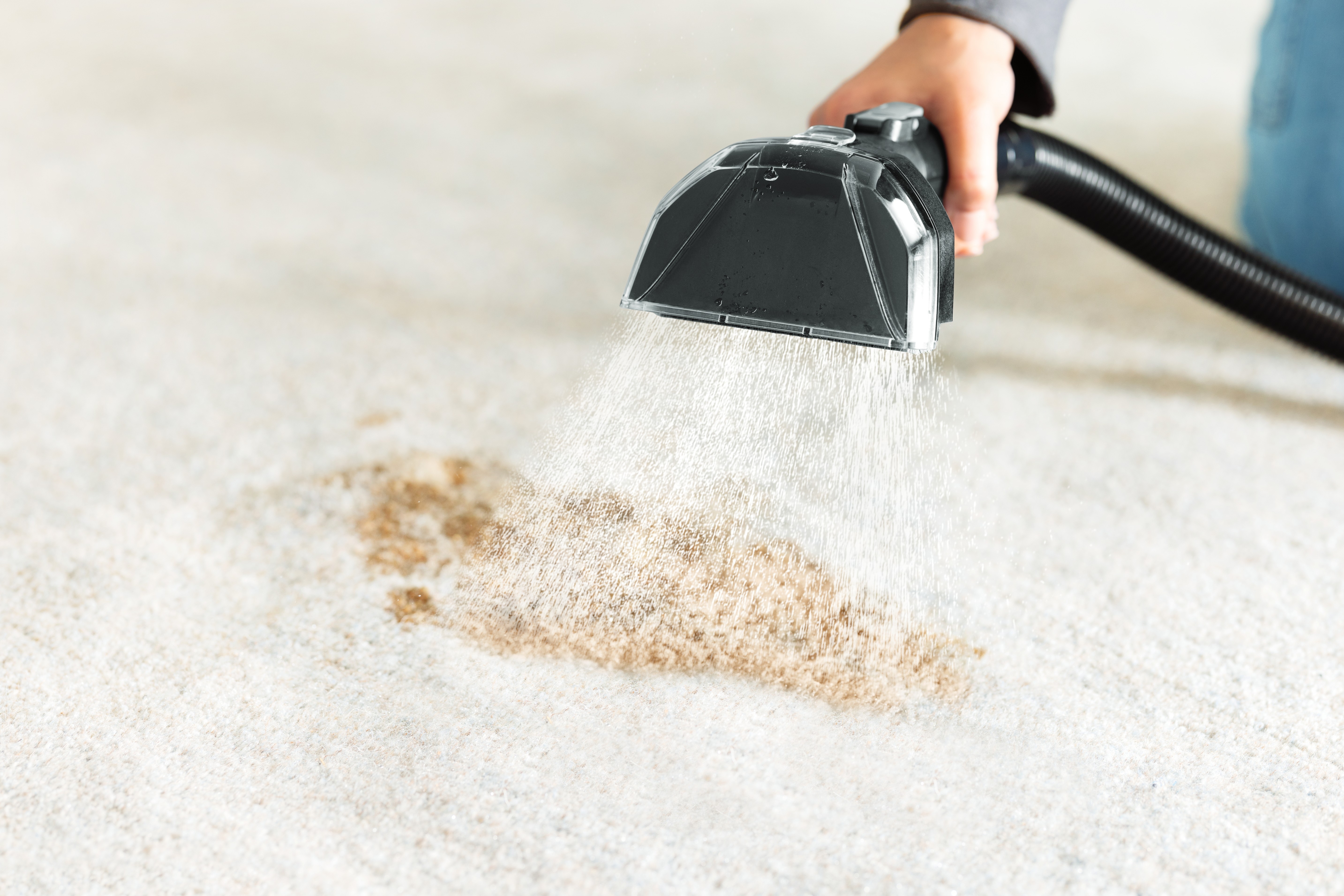 Using Little Green HydroSteam Portable Carpet Cleaner to clean stain on carpet. 