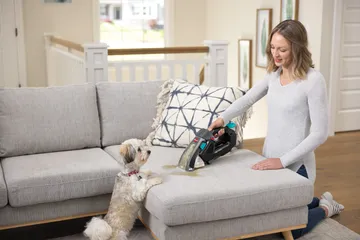 Pet Stain Eraser cleaning pet mess off couch.